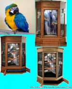 bird cage set up ideas.jpg