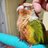 TikiTheConure