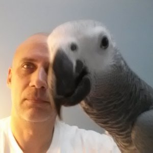 Parrot Selfie
