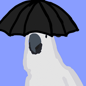 “Umbrella” cockatoo