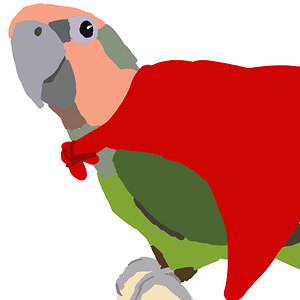“Cape” parrot