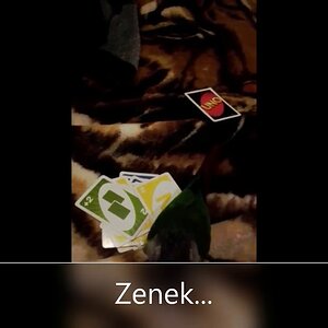 Zenek plays uno