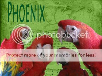 phoenix4_zpsf8096133.jpg