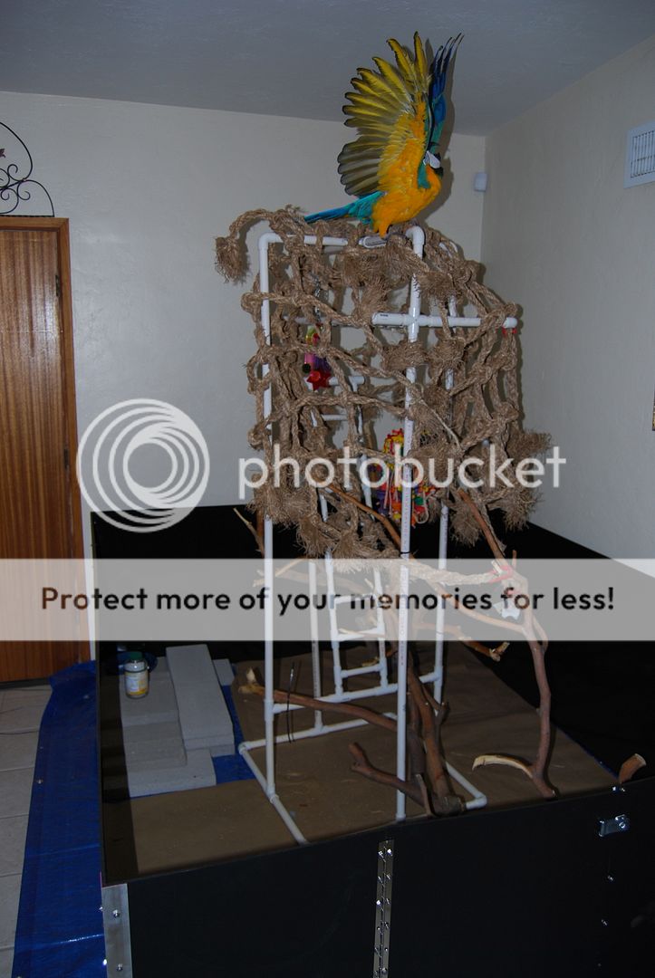 9f354e03.jpg