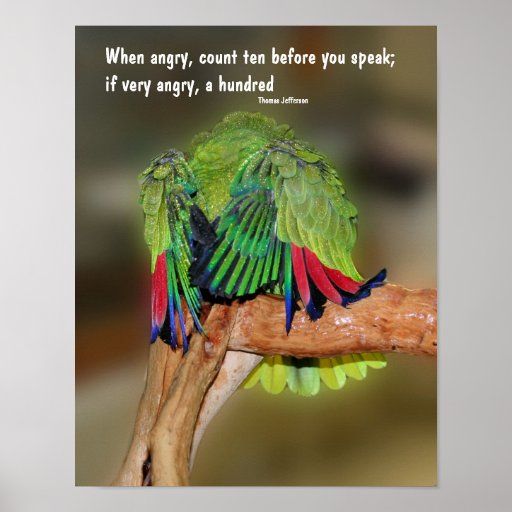 funny_parrot_anger_quote_inspirational_poster-r7b1d1d67a9754c5aabaaab6eb05ee082_wvw_8byvr_512.jpg