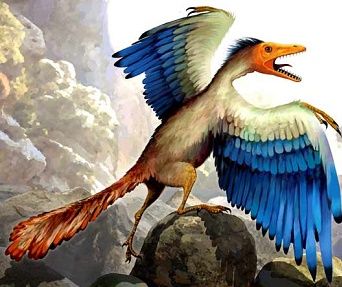 Archeopteryx[1].jpg