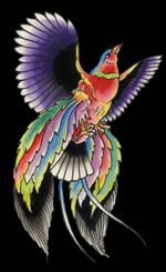 parrot-bird_paradise_blk1.jpg