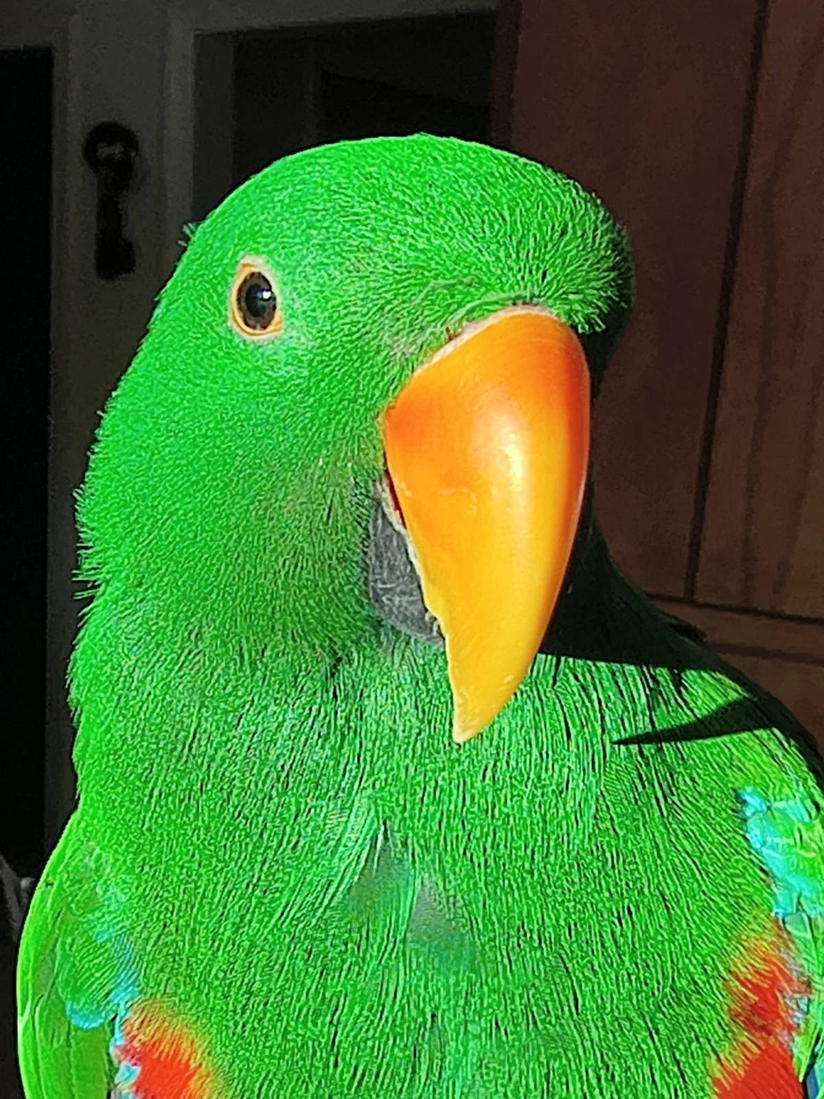 1000012422.webp