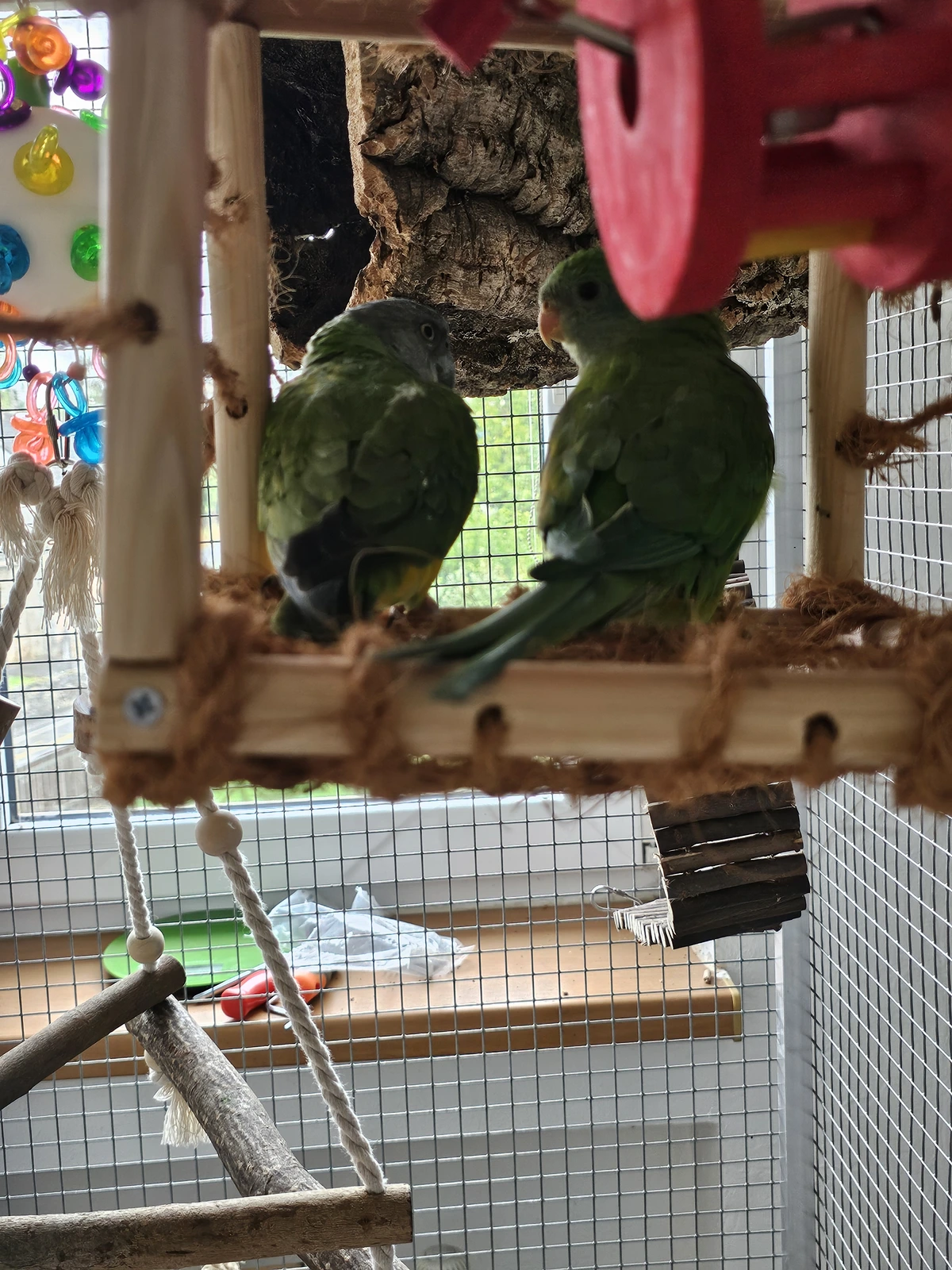 1000071778.webp 1000071778.webp