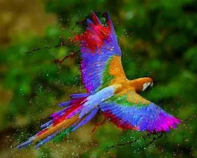 cool photoshop parrot에 대한 이미지 결과