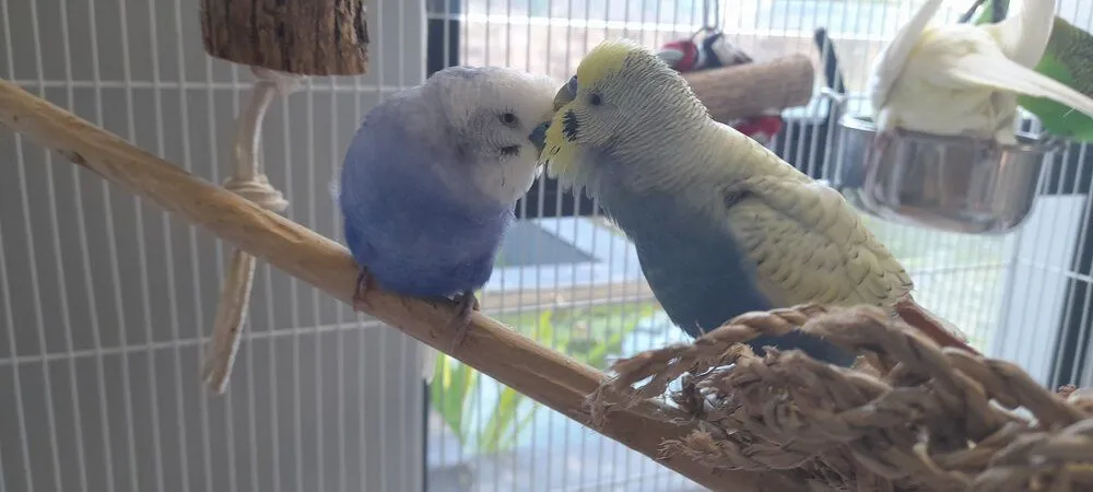 16524492710516870180261125116077-jpg.42270