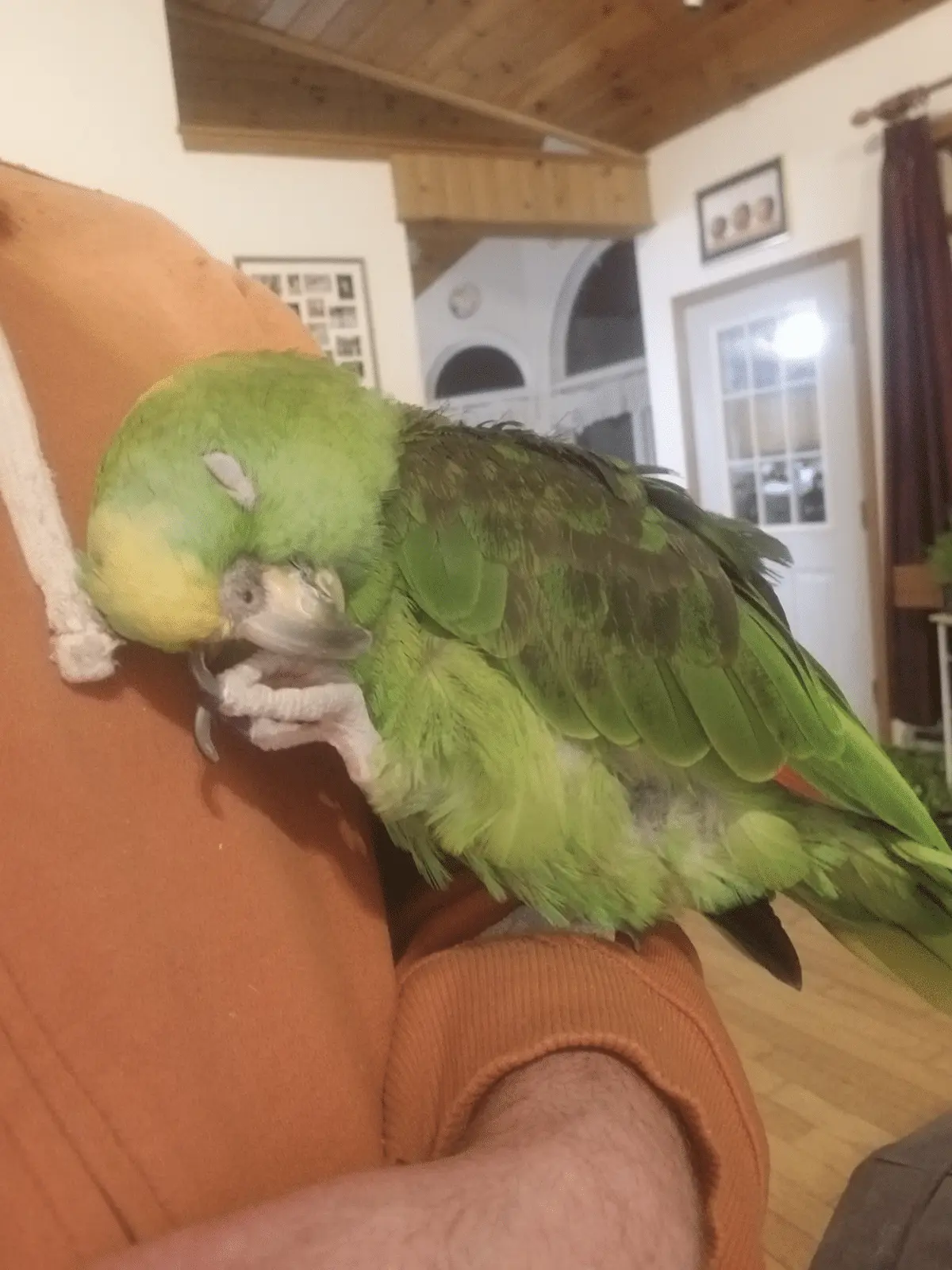 1696694487922-png.54922