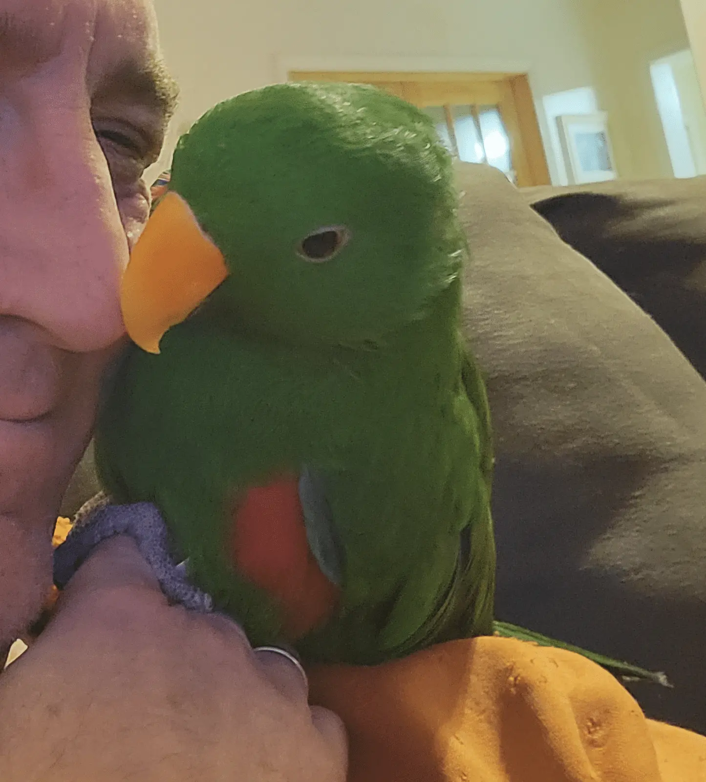 1696694820519-png.54924