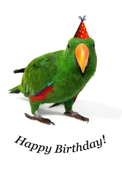 1777309653759.webp