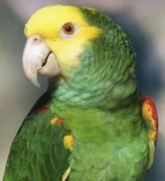 1783708980257.webp