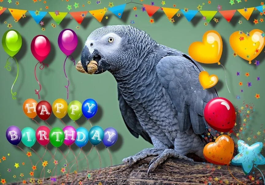 1786728380379.webp