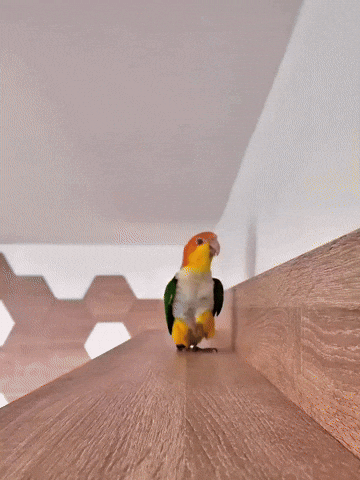 1787866778543.gif