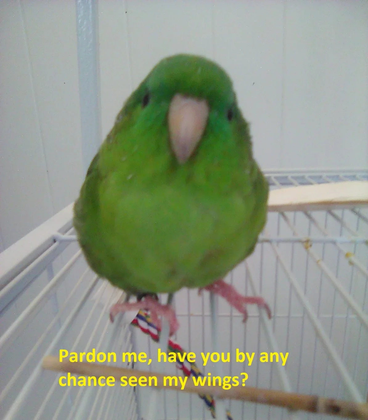 1788129244114.webp
