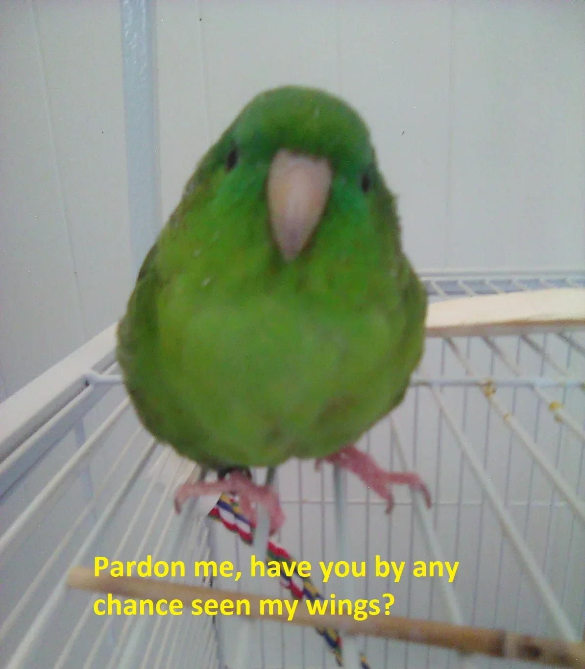 1788354526035.webp