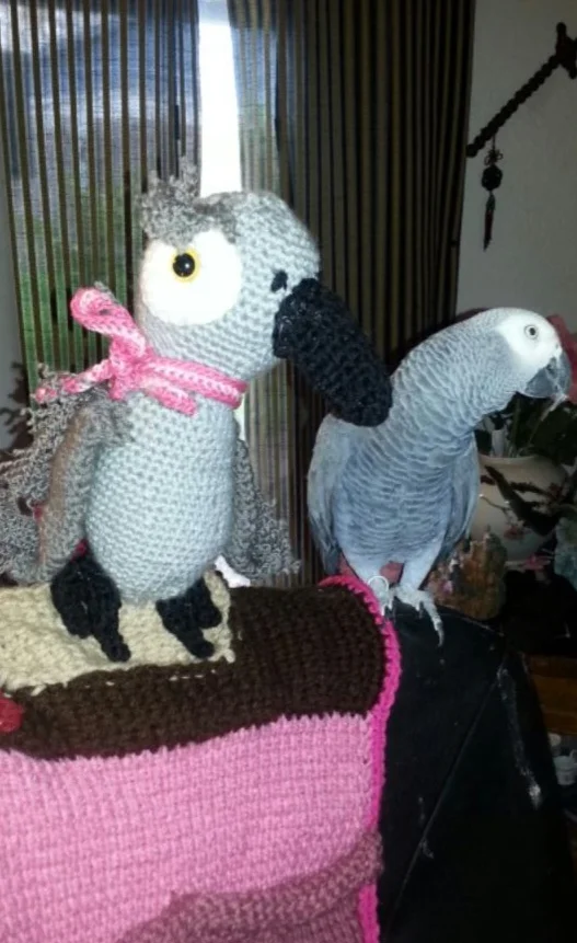 20150318_1458_resized_crochet__parrot-1 (1).webp