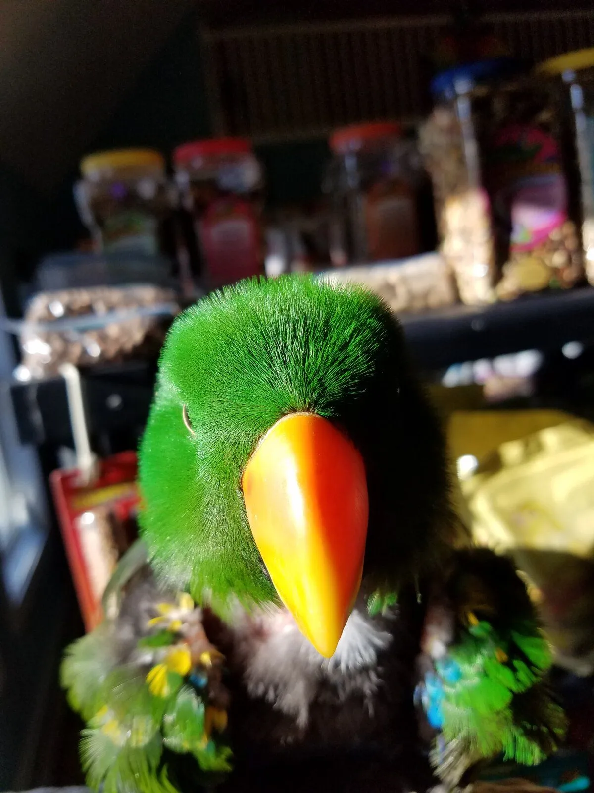 20180331_171235-jpg.54920