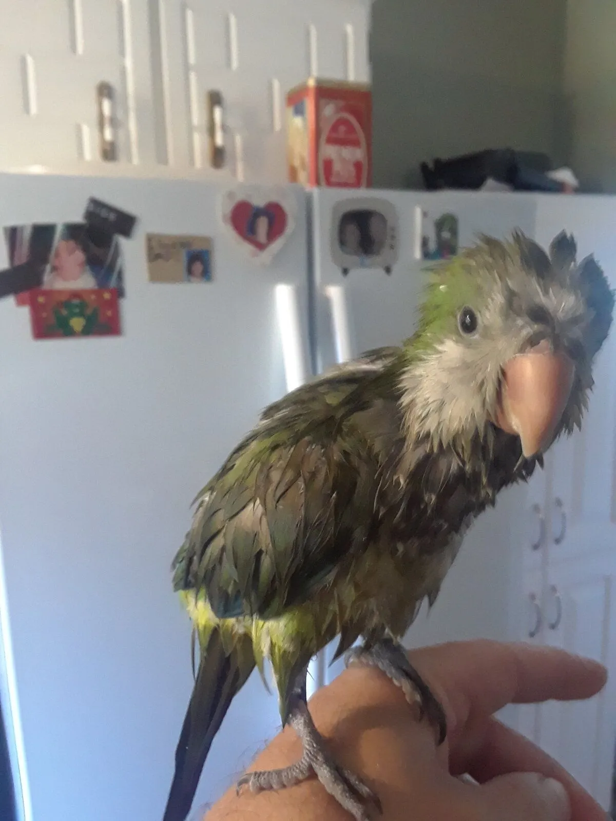 20200805_081936-jpg.58833