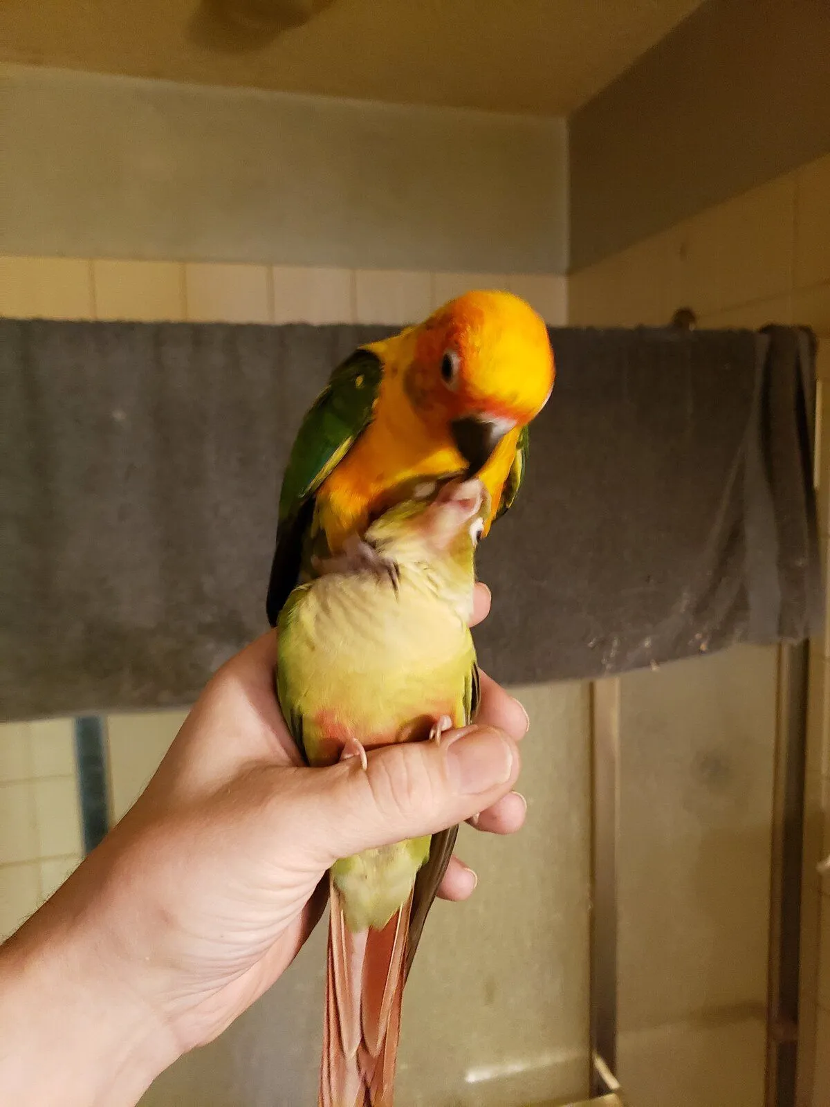 20220714_105601-jpg.42255