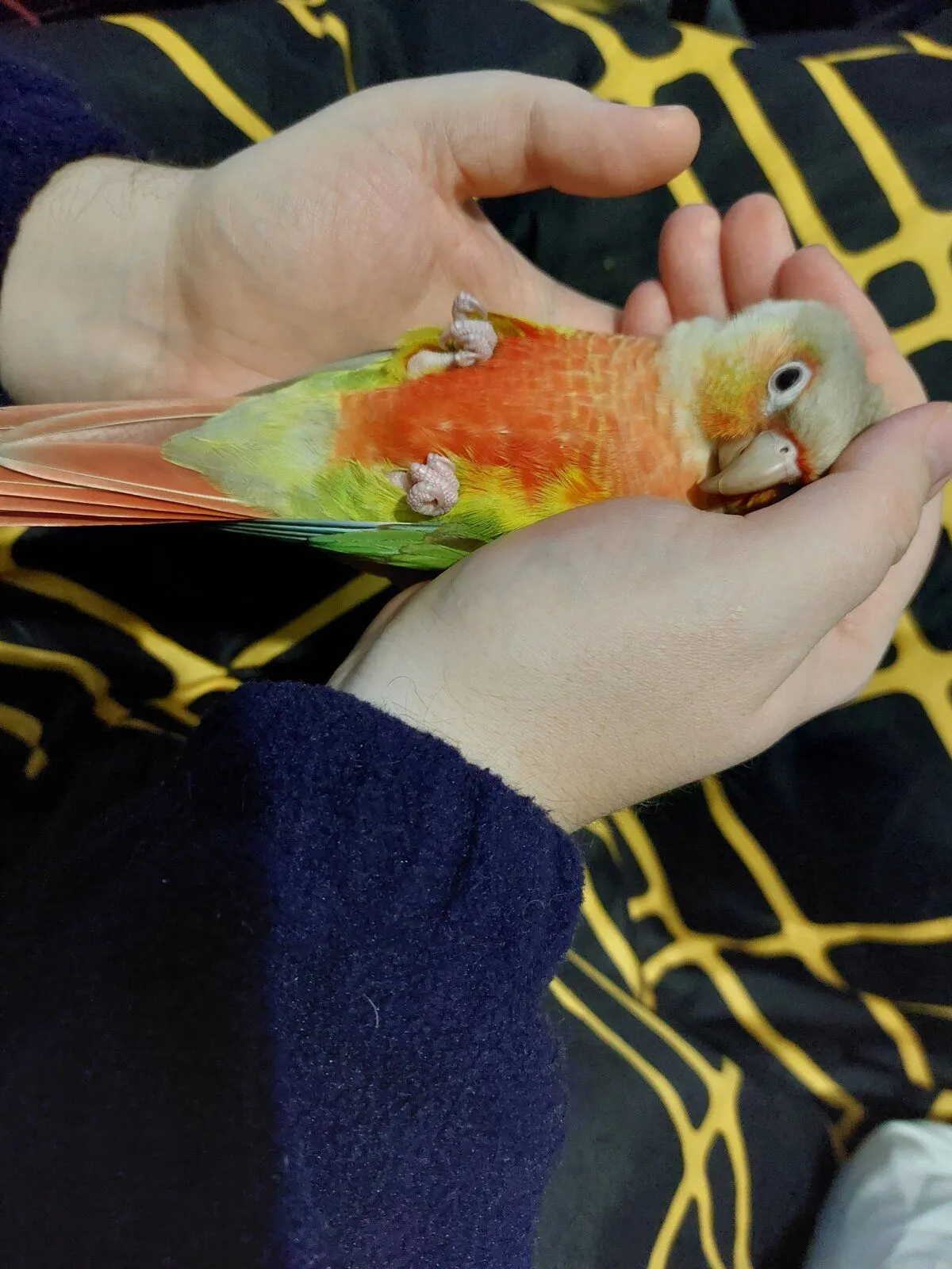 20221206_183320-jpg.55516