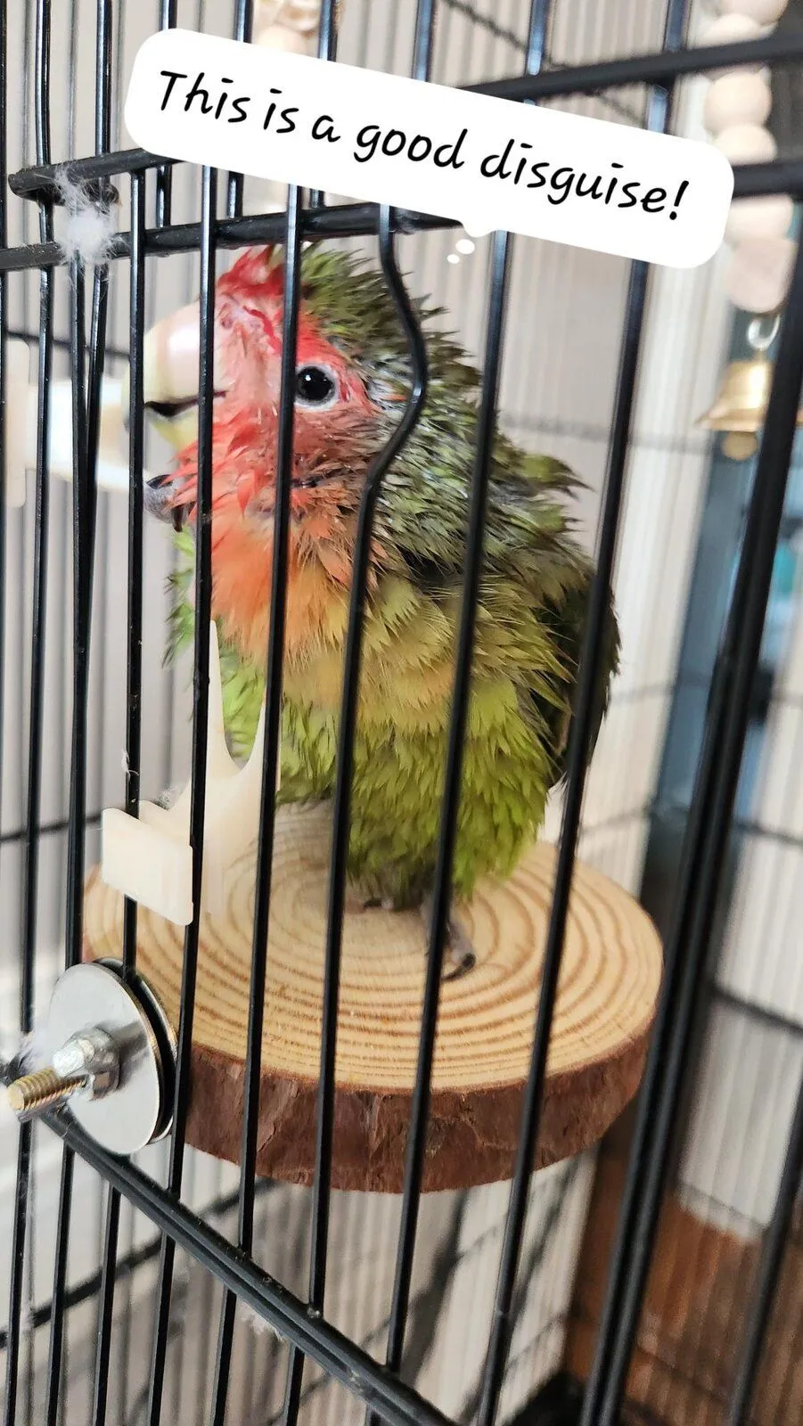 20230607_092323-2-jpg.58527