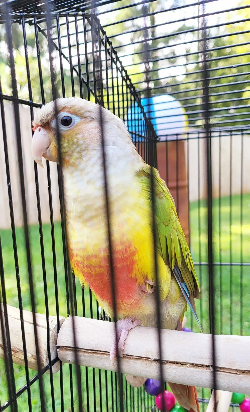 20230729_112412-jpg.55153