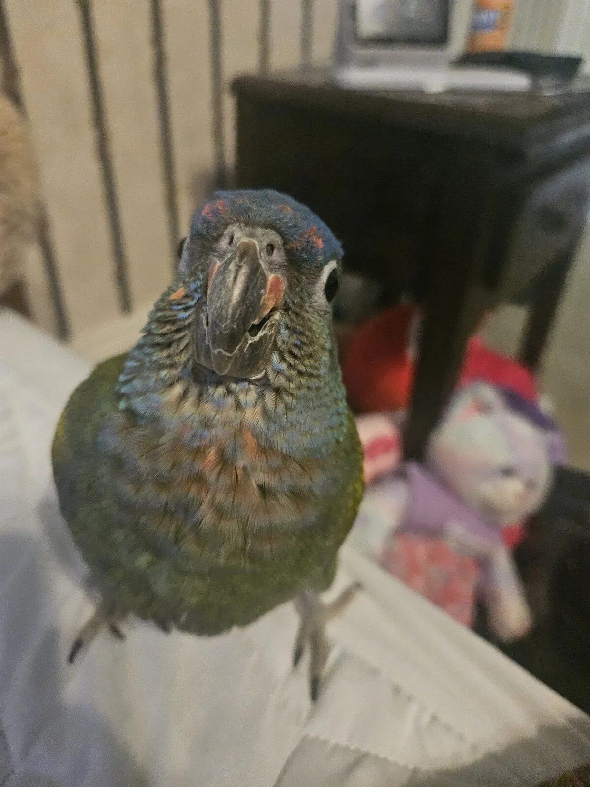 20230916_144657-jpg.55070