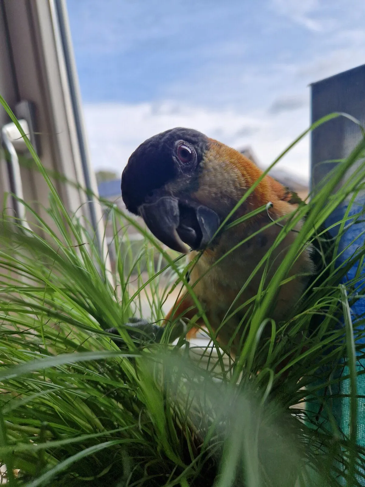 20231007_131009-jpg.54981