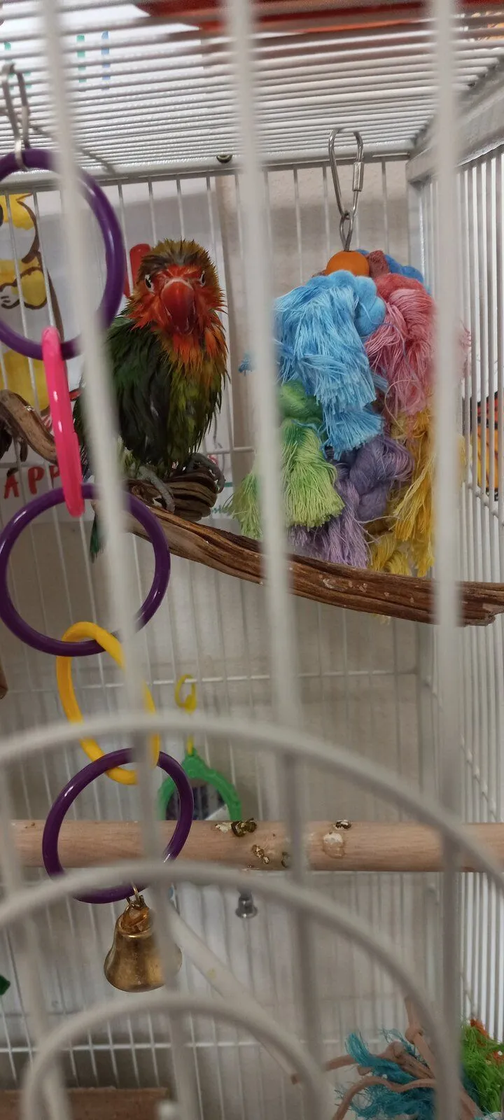 20231203_121024-jpg.58635