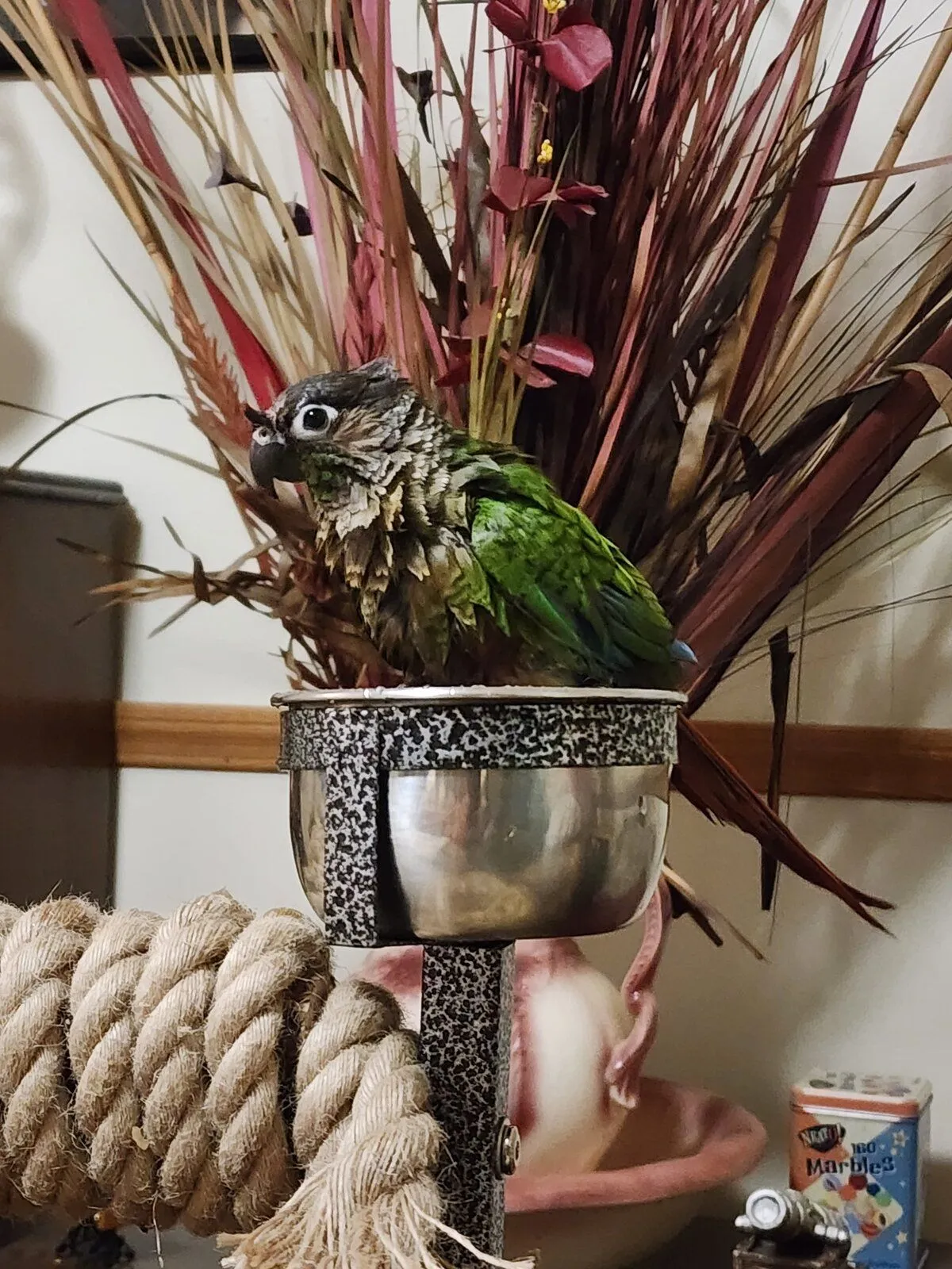 20240424_093548-jpg.58988