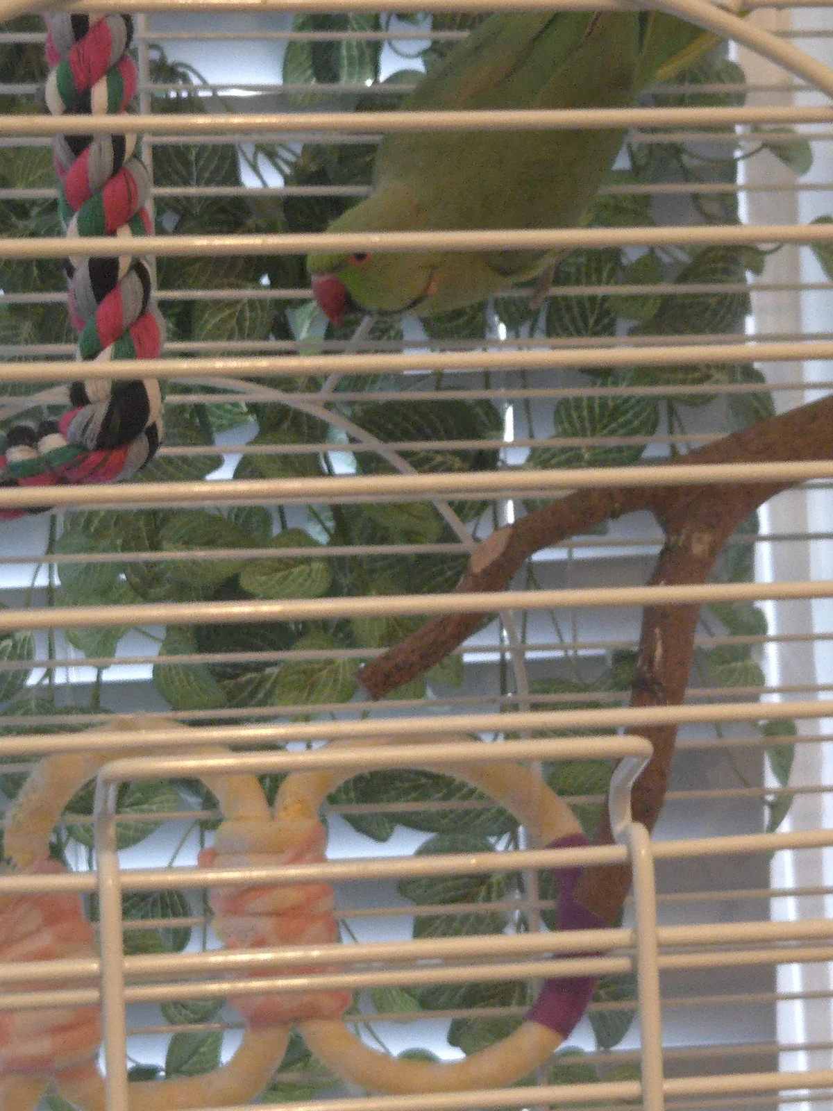 20261014_161459.webp