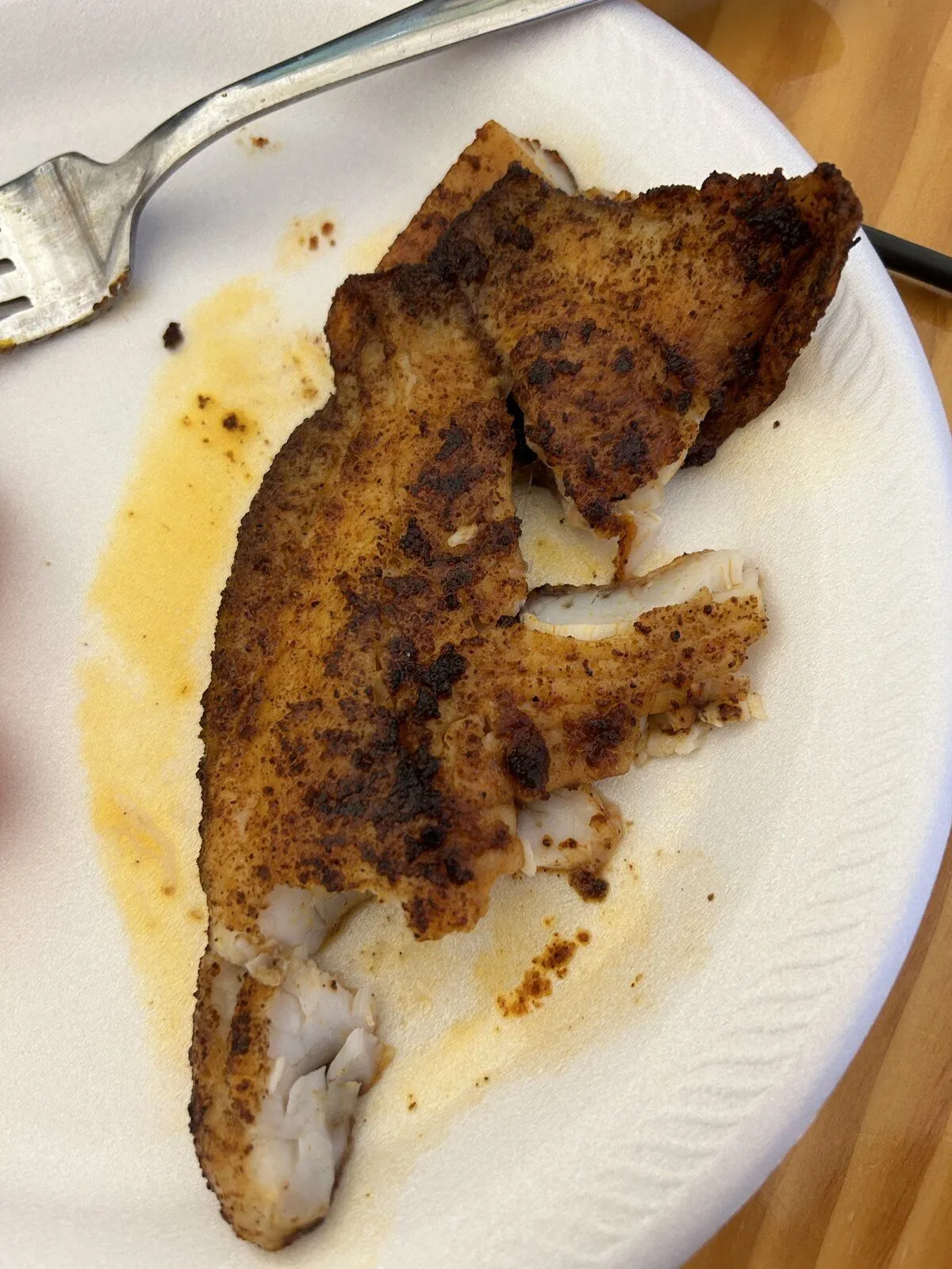 I’m eating meat for the first time in 2 years! Parrot Forum 🦜 Parrot