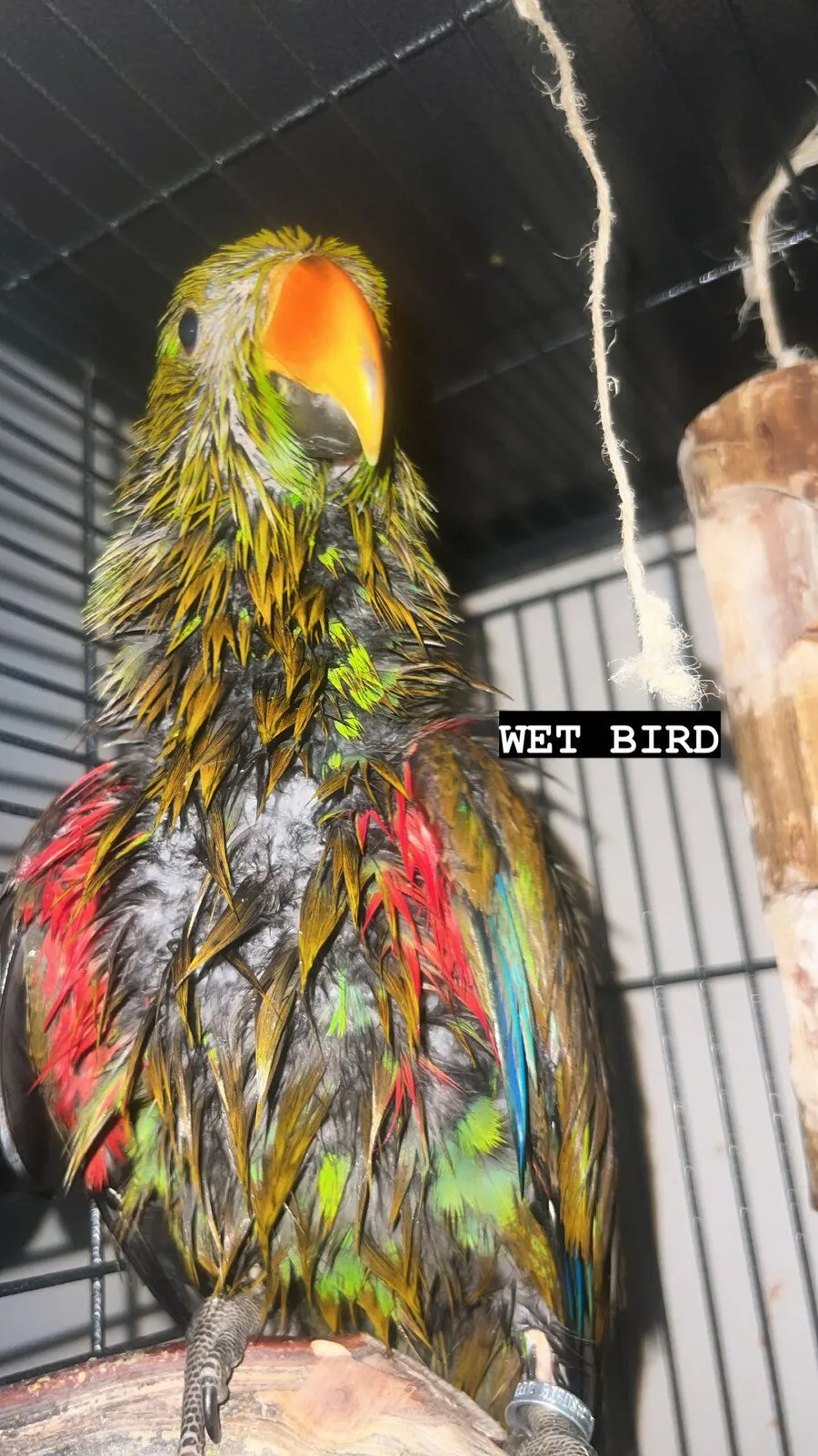 779891e3-aaf4-49a8-bbd0-9bd24d8597e9-jpeg.59003