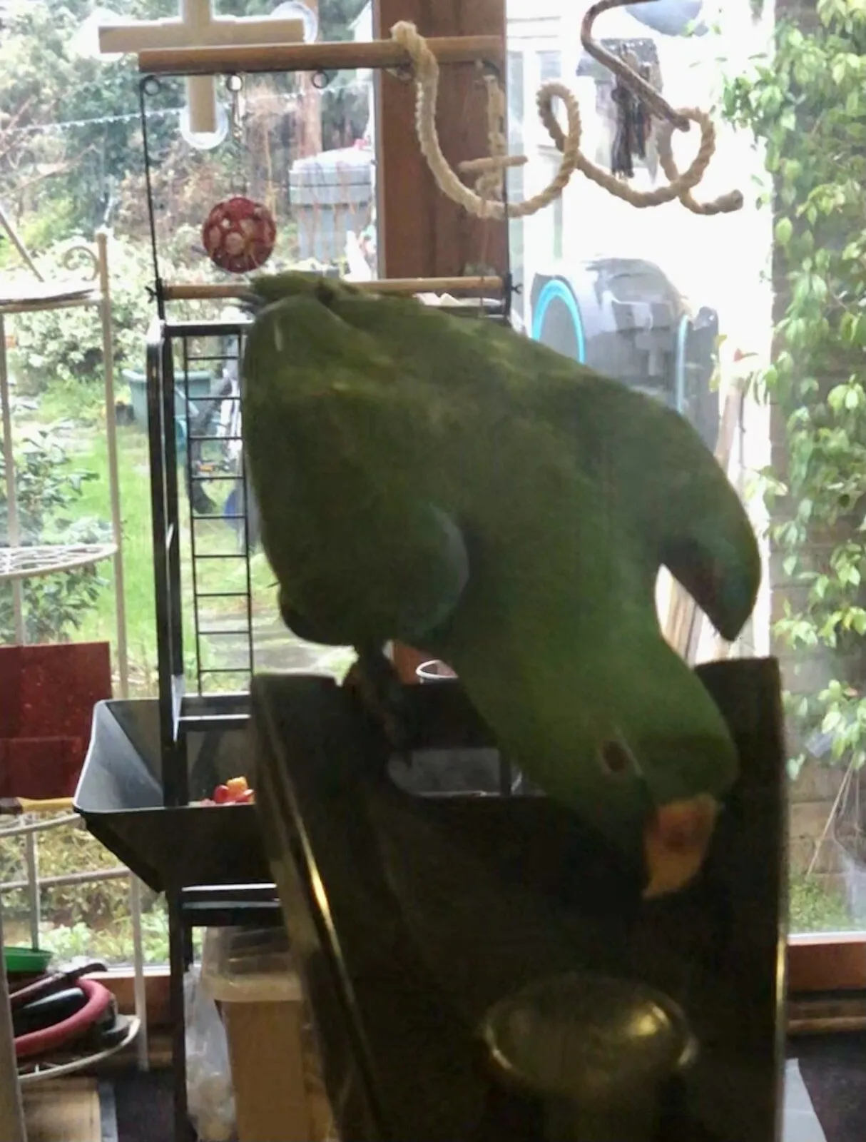 7c07b670-9cfd-4705-8c20-42c001da23a7-jpeg.46201