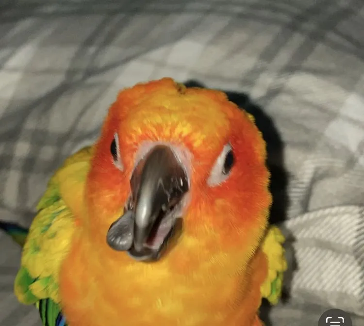 959c5f9b-7339-4f78-9d66-1407a16c2ce0-jpeg.55183