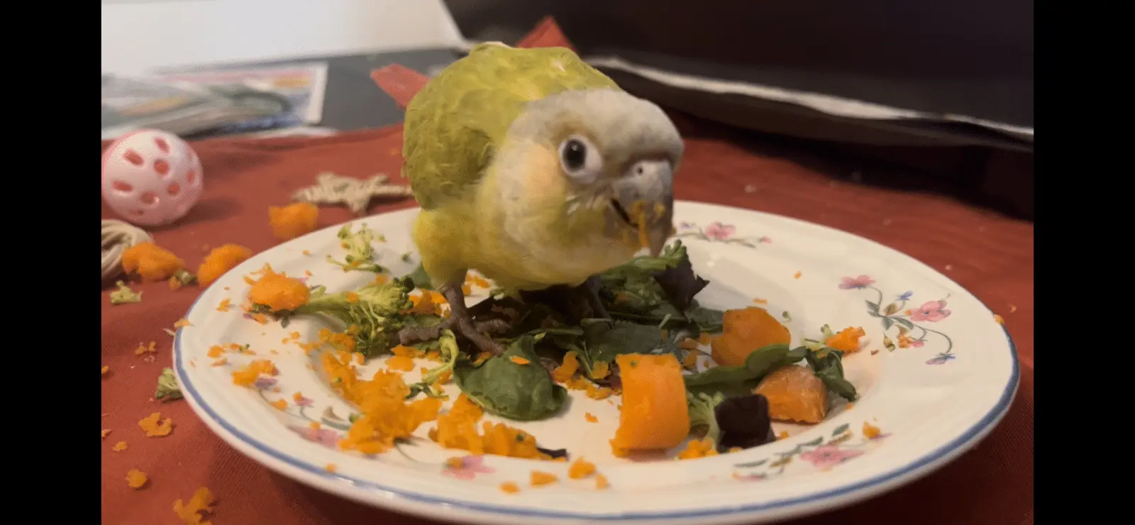 9dcb2f9a-6085-4d45-a60a-455c4a1c77d8-png.42193