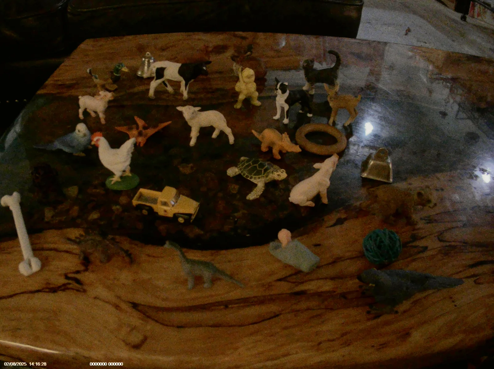 animals.webp
