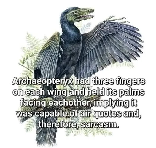 archae.webp