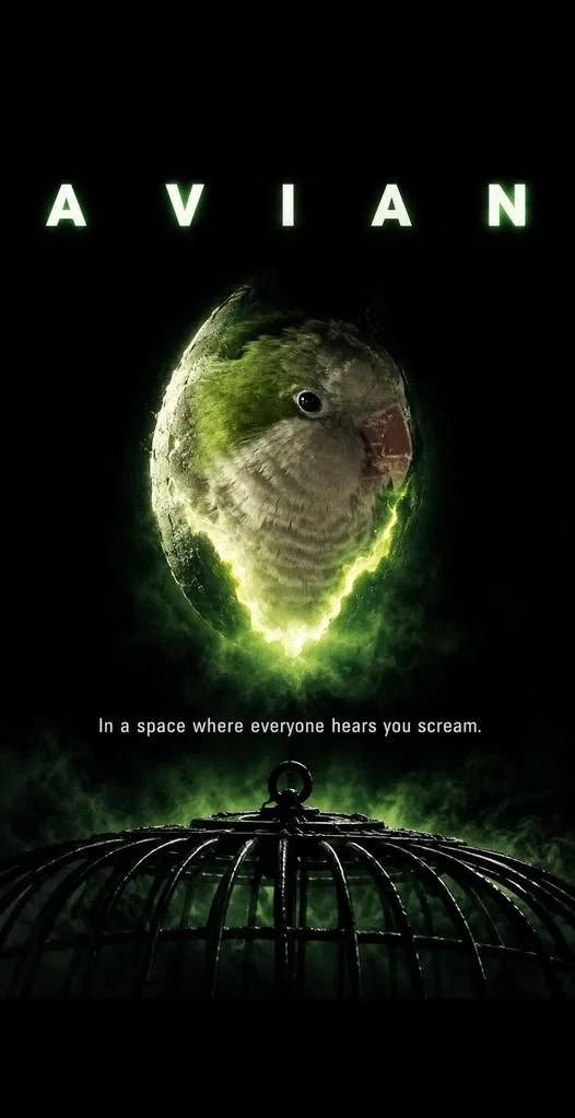 The best Bird meme!!