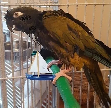 bath-with-boat-jpg.58552