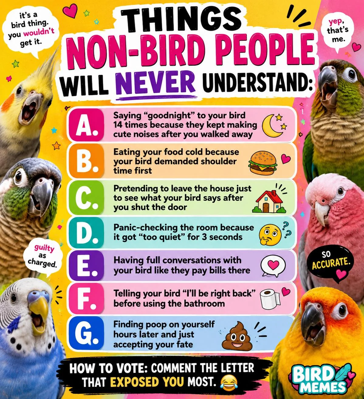 birdmeme.webp