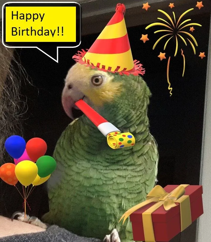 Birthday Animal 2.webp