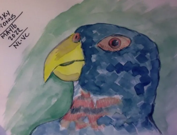 Dusky Pionus sketchbook drabbles.webp