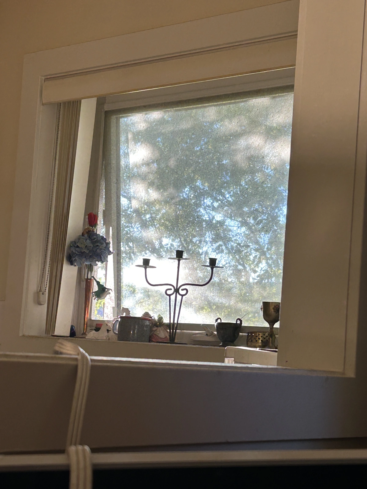 Evening sun oct 24_2025_2.webp