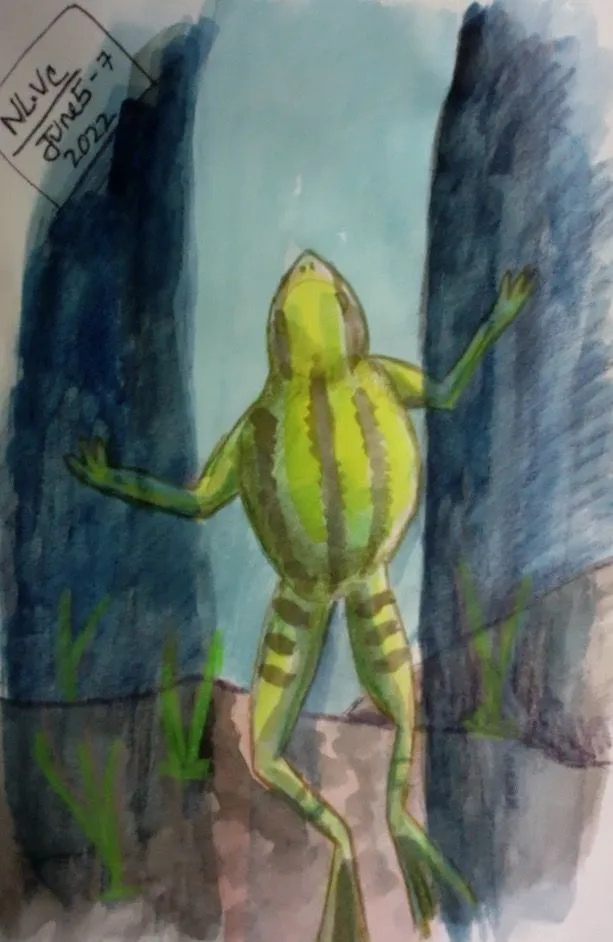 Frog swimming_update_Sketchbook drabbles.webp