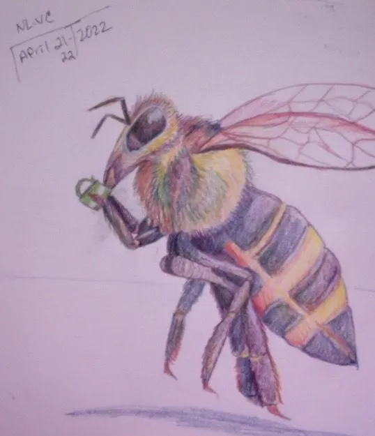 Honey Bee Drinking out of Mug.webp
